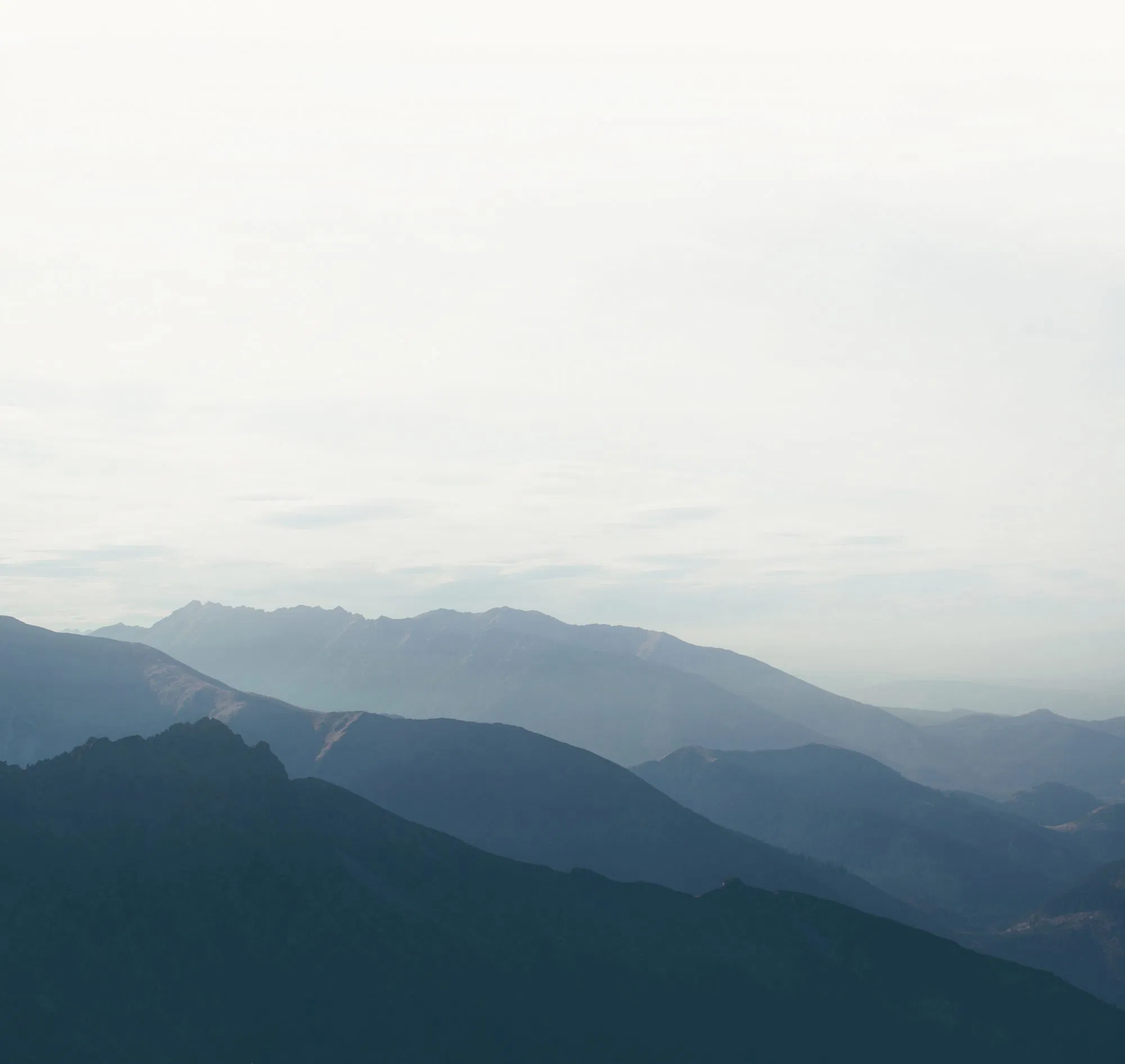 friigoo trip planner website testimonial background